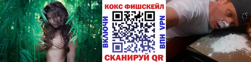 Купить где  Пушкино  COCAIN Columbia 