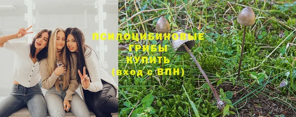 герыч Коряжма