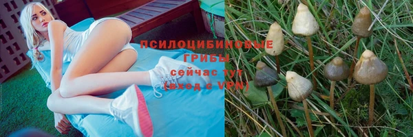 кокаин премиум Костерёво